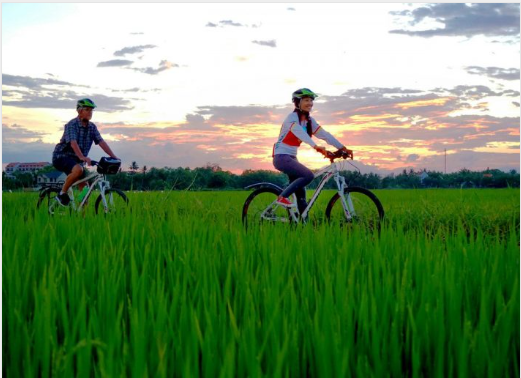 Immerse yourself in local traditions, arts and lifestyles, contributing to sustainable tourism